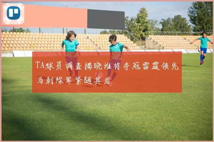 TA球员调查揭晓谁将夺冠雷霆领先马刺绿军紧随其后